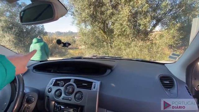 NOSSO NOVO CARRO EM PORTUGAL - Renault Scenic #956 смотреть онлайн