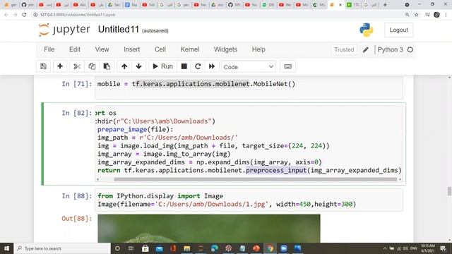 MobileNet Image Classification with TensorFlow's Keras API شرح عربي смотреть онлайн