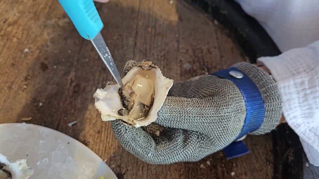 Крым. День третий. Устричная ферма, пляж в Мирном и Евпатория смотреть онлайн