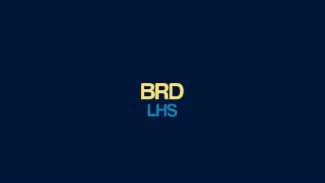 LHS - BRD смотреть онлайн