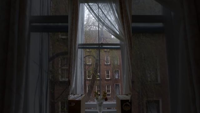 Windstorm Window | 1 Hour Of Ambience | Vertical Video