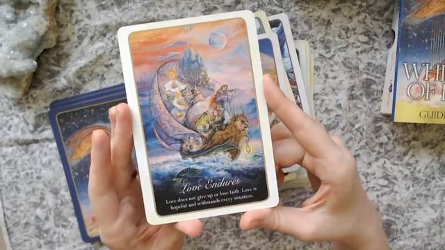 Review and Walk-Through of the Whispers of Love Oracle Deck смотреть онлайн