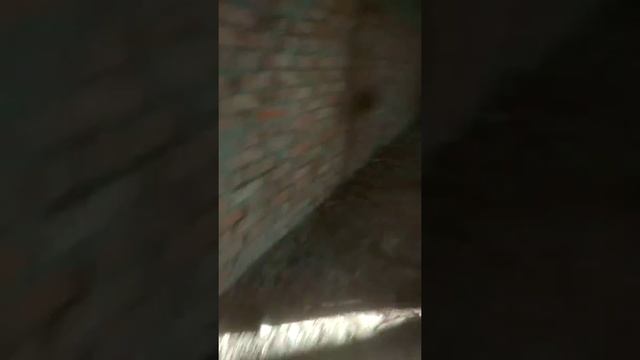 Для детей достигли 16+. Самая большая заброшенная больница города Волгодонска: стекляшка смотреть онлайн