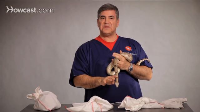 How to Take Care of a Boa Constrictor | Pet Snakes смотреть онлайн