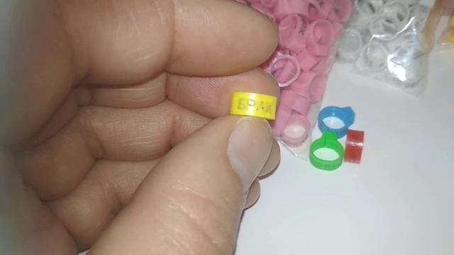 Именные кольца ДЛЯ ГОЛУБЕЙ для Евгения Евгеньевича из г.Москва. смотреть онлайн