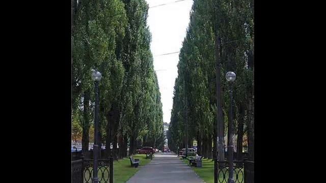 Moya_Rossia-Kalaushenko.K.wmv смотреть онлайн