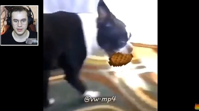 1 EN KOMİK MİNECRAFT TİK TOK VİDEOLARI #5 смотреть онлайн