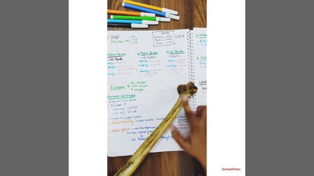 Topic:Humerus (Anatomy) ┃┃Quick Revision:Exam ┃┃ by Soma Afreen смотреть онлайн