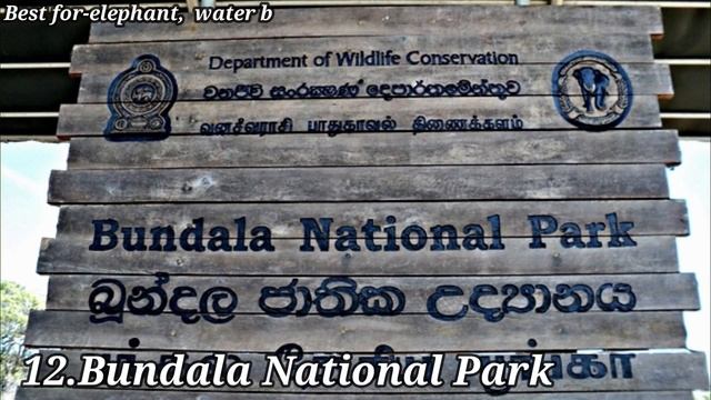 #SriLanka #NationalPark National Park In Sri Lanka | National Park | Yala National Park | Sri Lanka