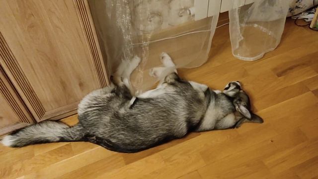 Сладких снов! ??? смотреть онлайн