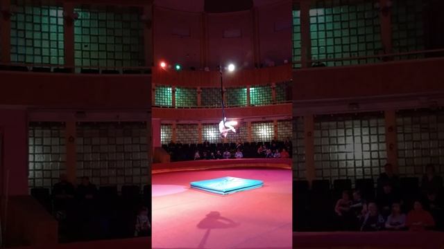 цирковая студия "Мы из цирка",сидоренко Маргарита ,воздушные петли "метель" смотреть онлайн
