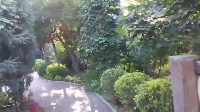 "Лето в фокусе" - стихи Надежды Мисюровой, читает Ната Звонка смотреть онлайн