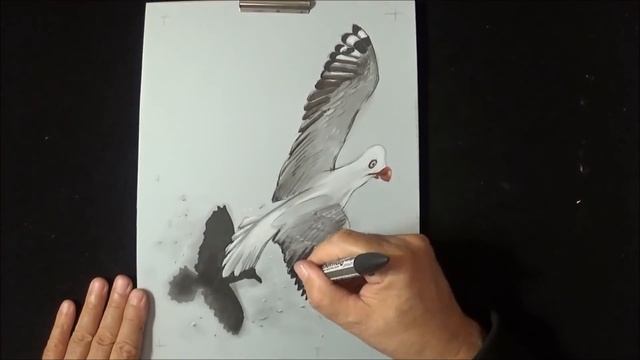 Drawing a 3D Flying Bird - How to Draw Bird - Trick Art on Paper смотреть онлайн