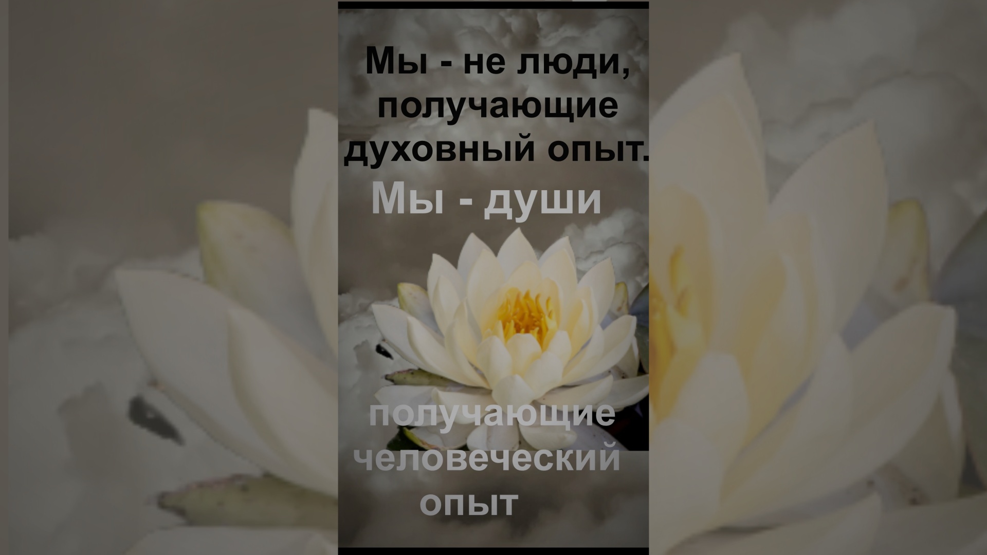 Мы - души, получающие человеческий опыт.mp4 смотреть онлайн