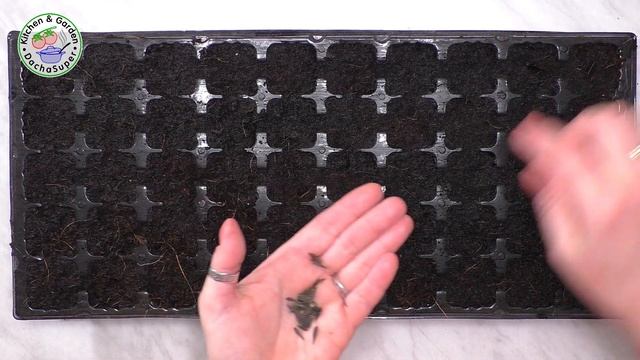 Посев цветов в кокосовый субстрат и таблетки из кокосового волокна. Первые всходы смотреть онлайн