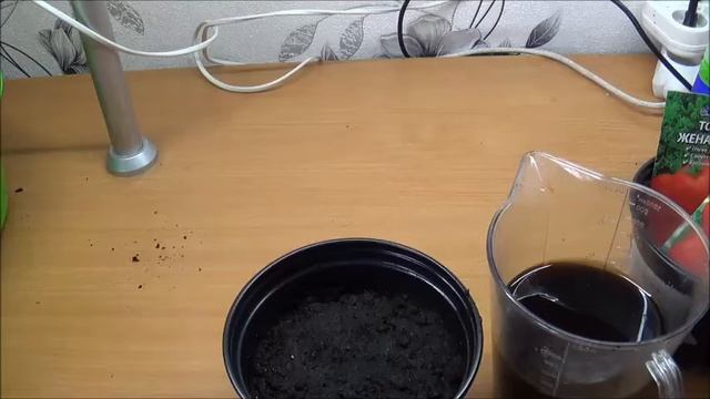 Посев высокорослых индетерминантных томатов без лишних хлопот. смотреть онлайн