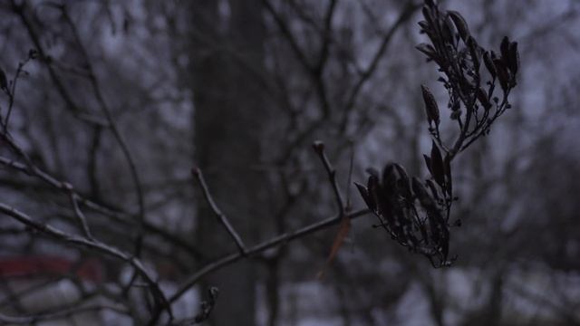 С гнило нижнее бревно на доме, полный ремонт. смотреть онлайн
