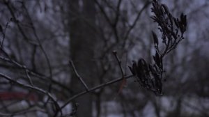 С гнило нижнее бревно на доме, полный ремонт.