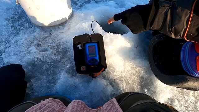 Тренировка перед Чемпионатом области, или коммерческий проект? смотреть онлайн