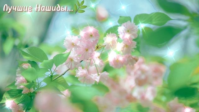 Красивый НАШИД... Успокаивает Душу ??