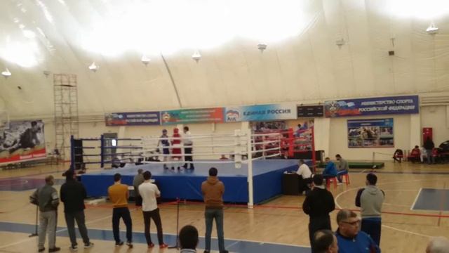 соревнования по боксу за кмс смотреть онлайн