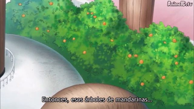 One Piece Luffy conoce el barco de Bartolomeo смотреть онлайн