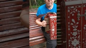 Измайловский пятачок, Матаня на гармошке