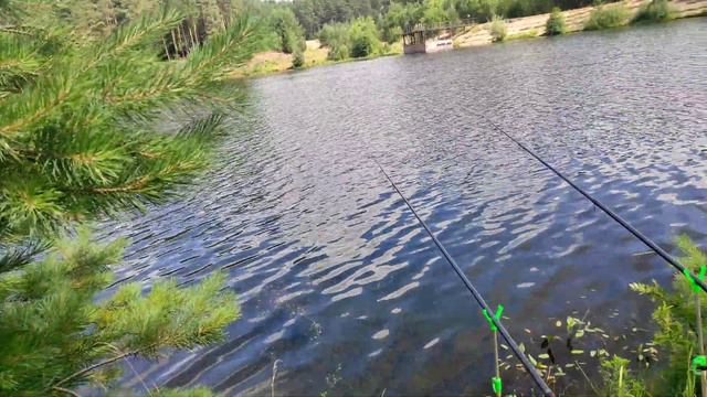 Я люблю Воткинск/ Нарезки смотреть онлайн