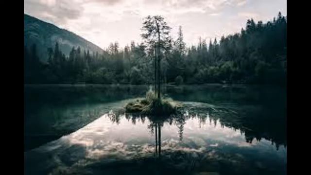 Вивальди для детей . Классическая музыка для детей и родителей . Слушать классическую музыку смотреть онлайн