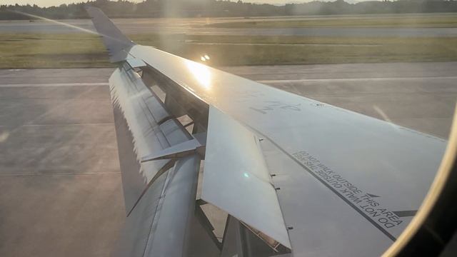 Chengdu Airlines ARJ21-700 (Hard) Landing at Chengdu Tianfu International Airport along with sunset смотреть онлайн
