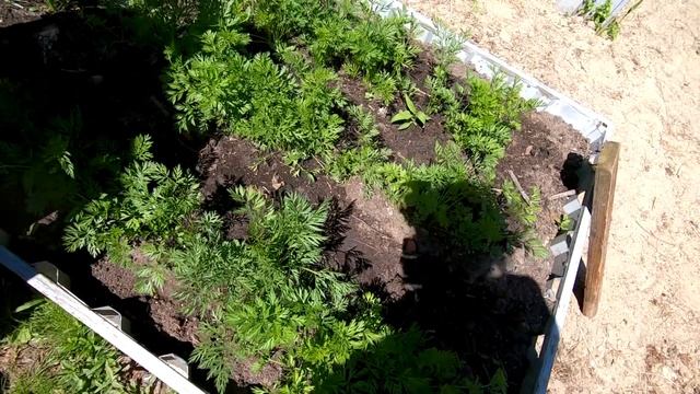 Деньги у ВАС под ногами. смотреть онлайн