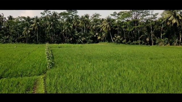 PANGANDARAN - West Java - Indonesia, AMAZING DRONE VIDEO смотреть онлайн