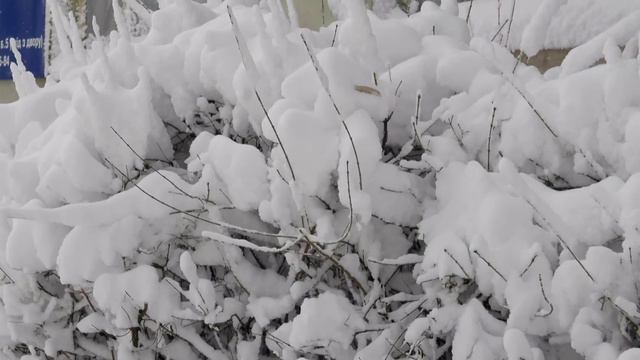 Зима по городскому. смотреть онлайн