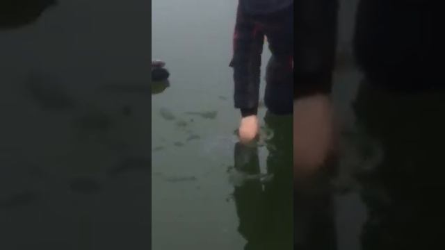 Рыбалка в Шапкино смотреть онлайн