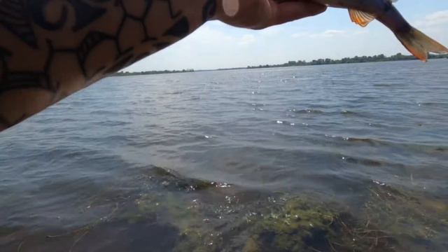Заплыв на лодке, рыбалка на острове. Береговой джиг.#fishing #fishing2021 смотреть онлайн