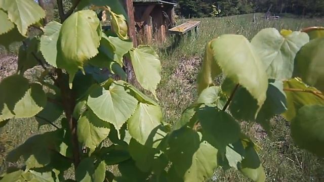 Фермерские неудачи. Часть 1 смотреть онлайн