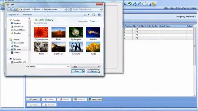 Inserting or Reading an image from vb.net into sqlite смотреть онлайн