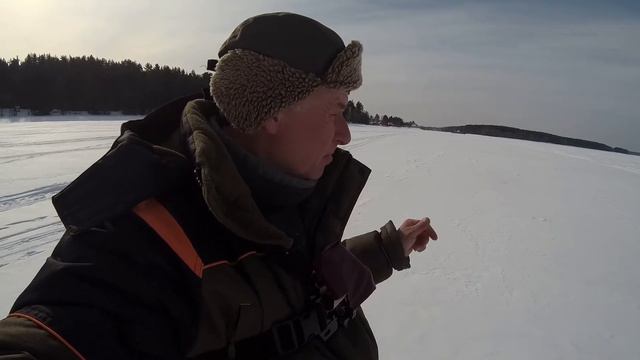 ВЕСЕННЯЯ РЫБАЛКА 2021 .СОЛНЕЧНЫЙ БЕРШ На жерлицы на Волге. смотреть онлайн