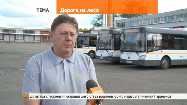 Дорога из леса смотреть онлайн