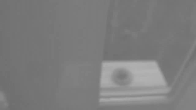 синицы ЧБ взлетают комне и клубятся смотреть онлайн