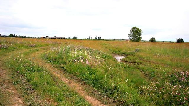УАЗ Пикап на сельской дороге смотреть онлайн