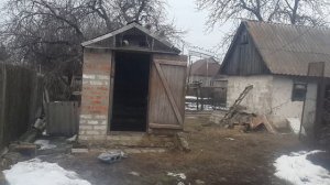 Какое отличие николаевских бабочек от торцовых голубей...