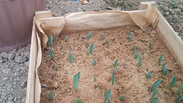 Ozginayu sozgina xatolar,kamchiliklar va yutuqlar ertangi kelajak uchun rejalar...хатолар,режалар.. смотреть онлайн
