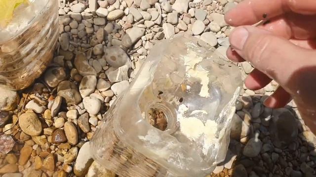 РЫБАЛКА В ГОРНЫХ РЕКАХ МЕЗМАЯ НА БАНКИ РЕЦЕПТЫ СЮФ смотреть онлайн