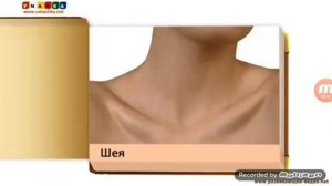 Умачка - Части тела Карточки для детей