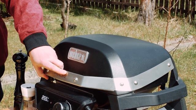 Jak zrobić Hanger Steak Sandwich Weber Pulse 1000 смотреть онлайн