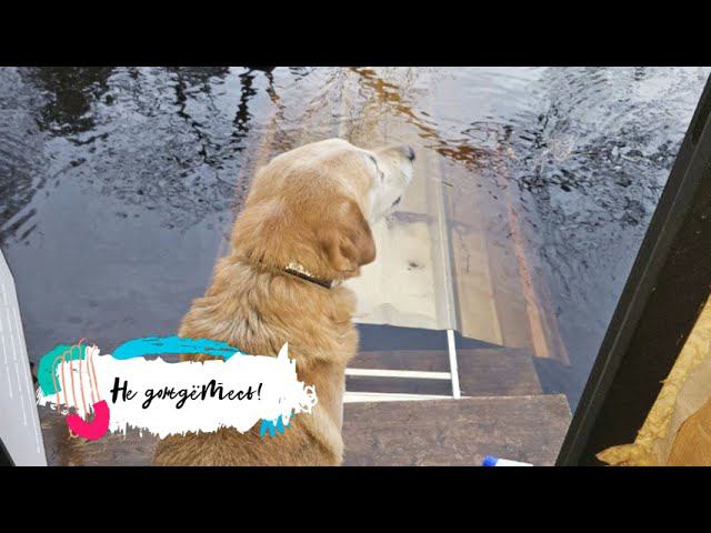 Кадуйский потоп. Четвёртая серия: "Вижу землю!" смотреть онлайн