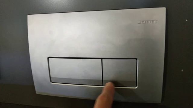 Geberit Delta 115.105.21.1 chrome flushing button two клавиша смыва Геберит Дельта хром смотреть онлайн