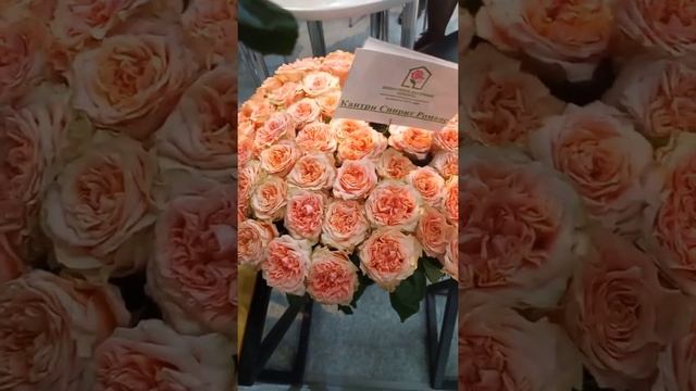 Цветочная выставка в Москве. Крокус Экспо, сентябрь2022 г. смотреть онлайн