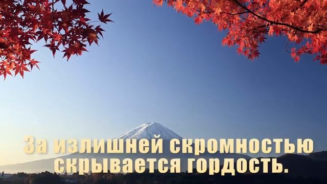Японские цитаты смотреть онлайн